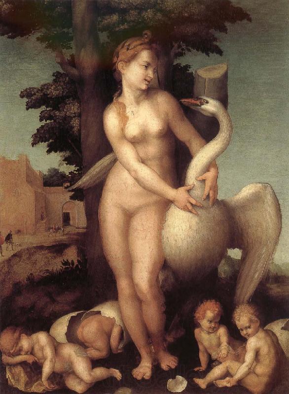 Andrea del Sarto Swan France oil painting art